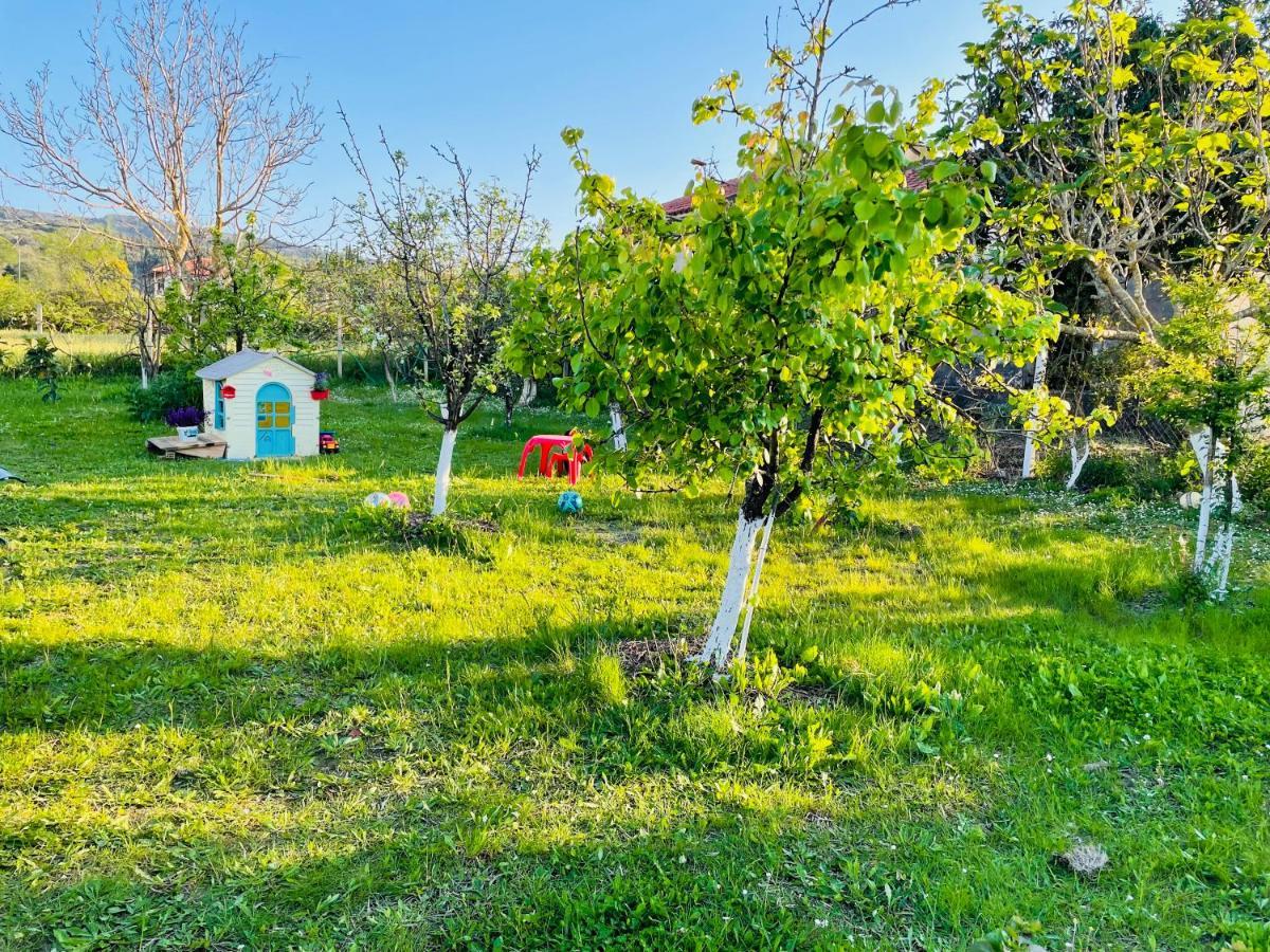 Holiday home Agathi *